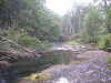s_PICT0626_thumb.png